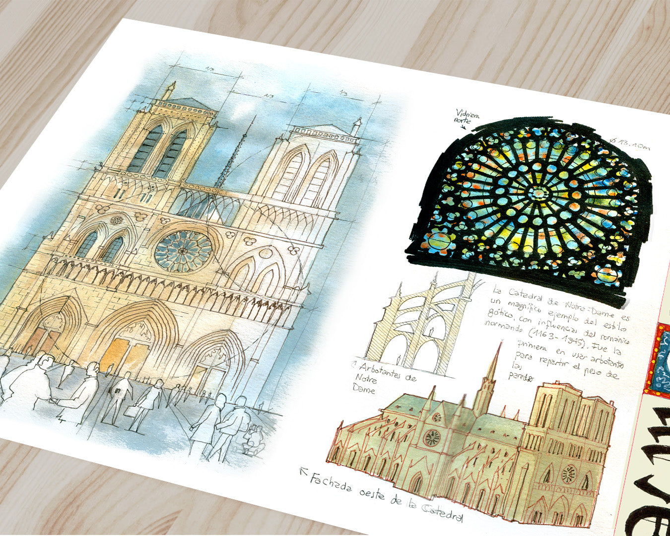 Notre Dame - Acuarela