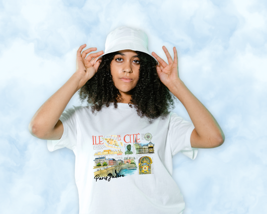 Ile de ls Cité- Print&Go Paris